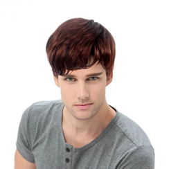 2 Pcs Short Straight Full Synthetic Artificial Hair Wig for Men