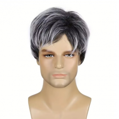 2 Pcs Mens Short Synthetic Straight Layered Wigs 