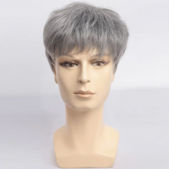 5 Pcs Gray Natural Looking Synthetic Straight Wigs for Men