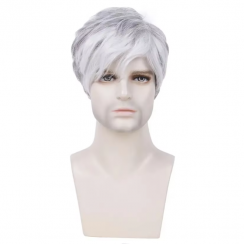 Short Natural Silk Straight Synthetic Wigs for Men