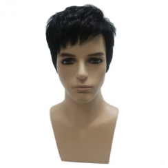 2 Pcs Short Natural Silk Synthetic Wigs for Men